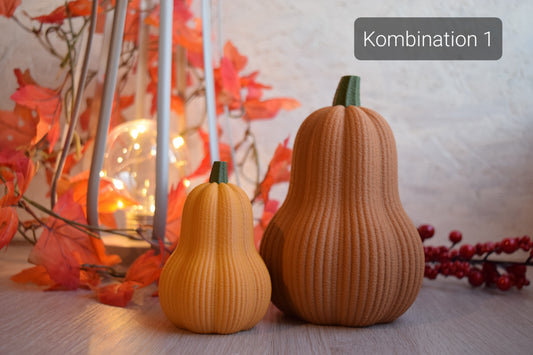 2 orangene Kürbisse die vor einer Lampe stehen in Herbstoptik. in der Farben Kombination 1.