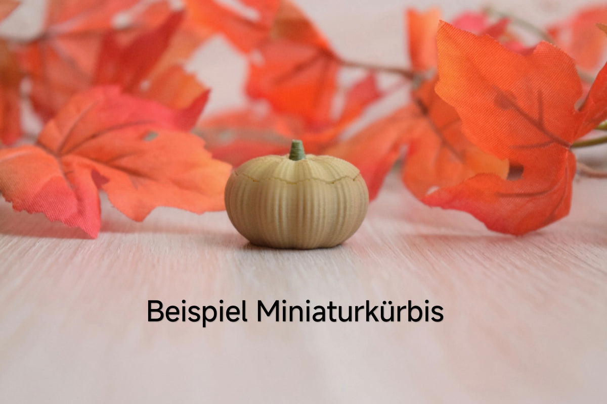 Kürbisschale in klassischer Birke mit herbstlicher Dekoration