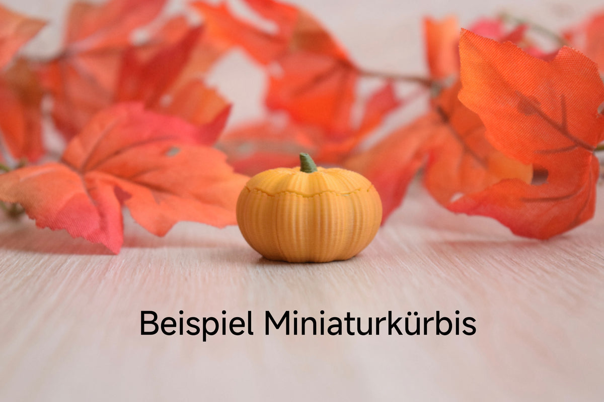 Kürbisschale in Orange, ockergelb mit herblischer deko