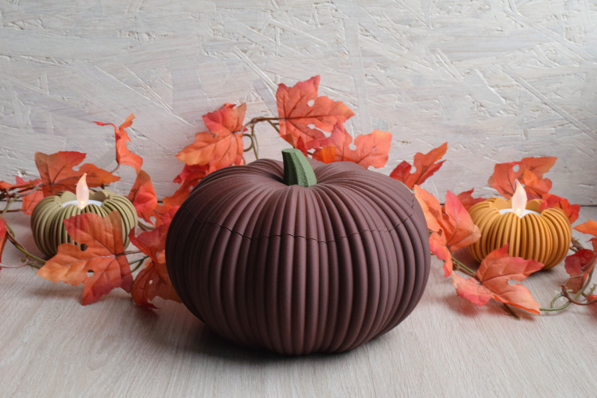eine schöne rot braune Kürbisschale mit herbstlicher dekoration 