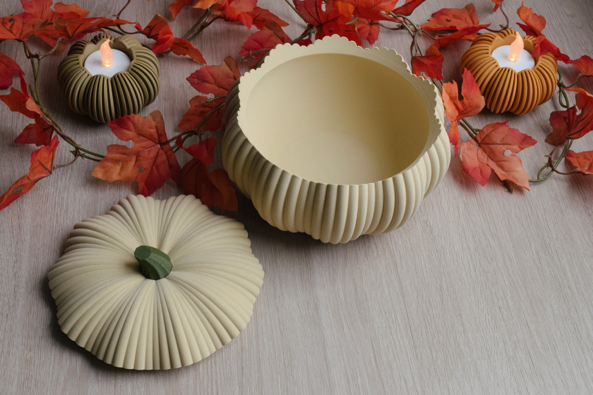 offene helle Kürbisschale mit herbstlicher dekoration